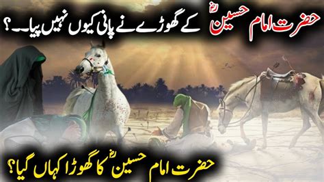 Hazrat Imam Hussain Ke Ghoray Ne Pani Kyun Nahi Piya Zuljana Ka Qissa