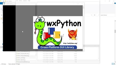 3 Wxpython Widgets And Wxpython Demo Wxpython Tutorial Youtube