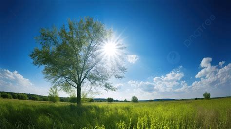 Sunny Weather Wallpapers - Top Free Sunny Weather Backgrounds ...