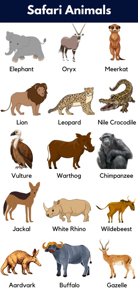 List of Safari Animals Names with Pictures - GrammarVocab