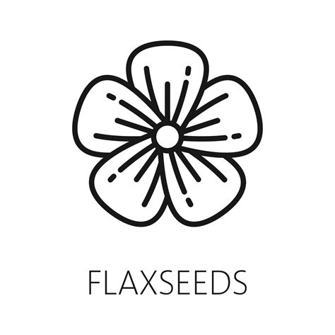 Flax Flower And Seeds Isolated Outline Flaxseed 24081651 Vector Art At