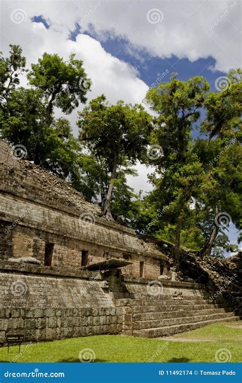 Ruins of Copan stock photo. Image of mayan, honduras - 11492174