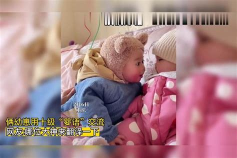 爱！俩幼崽用十级“婴语”交流，网友哪位大神来翻译一下