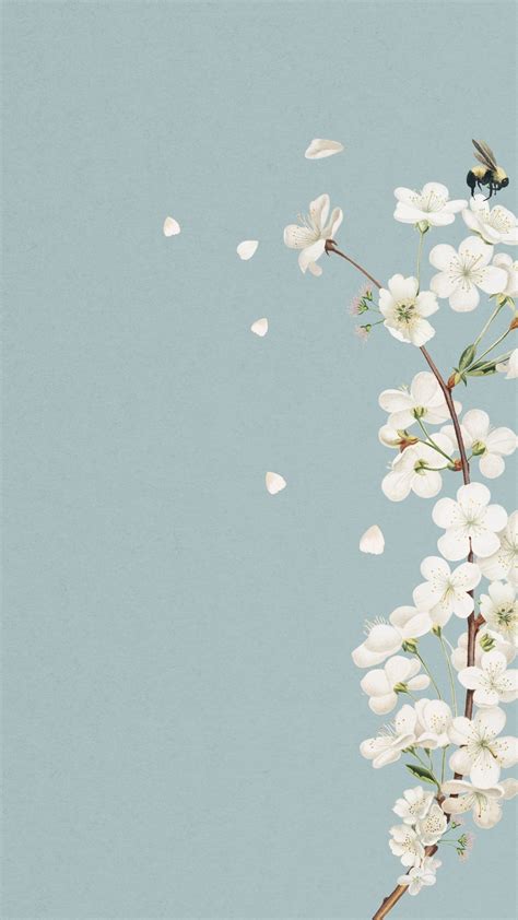 Amarena cherry flower phone wallpaper, | Premium Photo - rawpixel