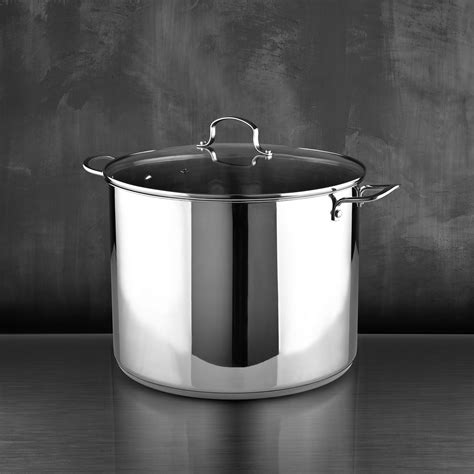 bergner stainless steel stock pot  lid wayfair
