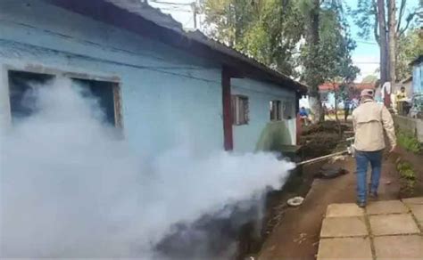 Más de 46 mil casos de dengue en Guatemala nuevo aumento semanal