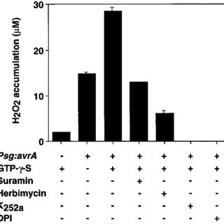 Effects Of Protein Kinase Inhibitors And Suramin On The Oxidative Burst