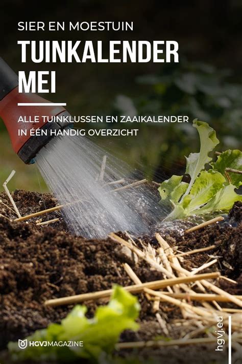 De Tuinkalender Mei Geeft Je Inzicht Voor Alle Tuinklussen Voor