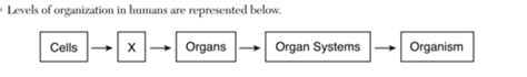 Liv Env Reg Jun Flashcards Quizlet