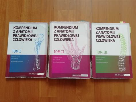 Kompendium Z Antomii Prawid Owej Cz Owieka Gworys Wroc Aw Kup Teraz