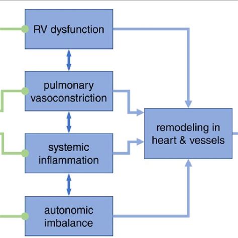 Potential Actions Of Vns On Different Pathogenetic Mechanisms Involved