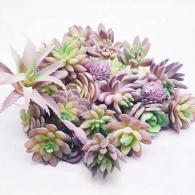 Fepito Pcs Random Size Artificial Succulent Plants Unpotted