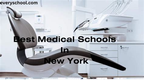 16 Best Medical Schools In New York 2024 - Every Schools