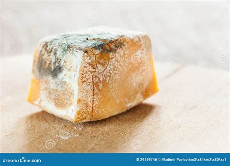 Mold On Cheese Stock Photo Image Of Mediterranean Aging 29459746