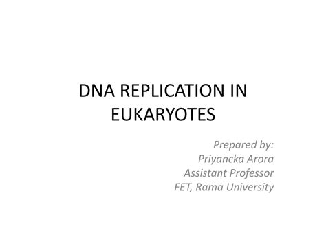 Solution Dna Replication In Eukaryotes Studypool