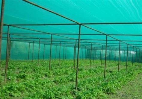 Agro Shade Net In Mumbai Maharashtra Get