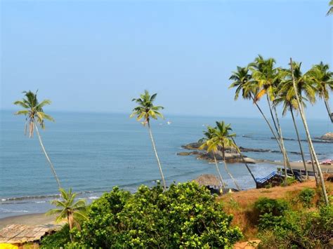 Top Things to Do in Ozran Beach Goa