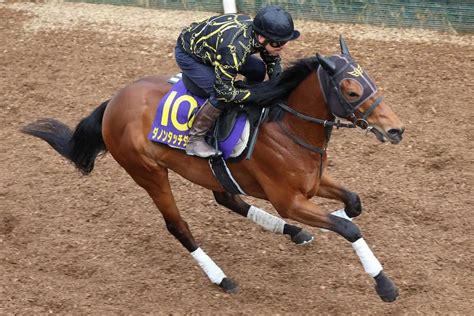 【皐月賞】ダノンタッチダウン 坂路でしまい重点ラスト1f12秒0、安田隆師「まだ余裕あった」 スポニチ競馬web