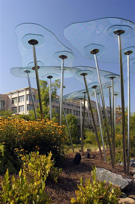 Glass Forest