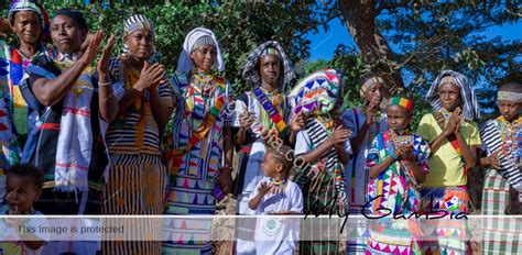 The Fulani Culture: Threads of Tradition and Heritage | My Gambia