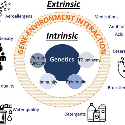 Intrinsic And Extrinsic Risk Factors For The Development Of Eoe Download Scientific Diagram