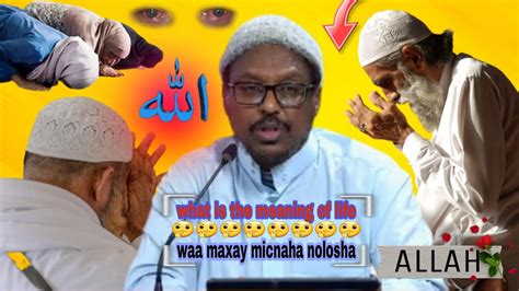 What Is The Meaning Of Life Waa Maxay Macnaha Nolosha Sheikh