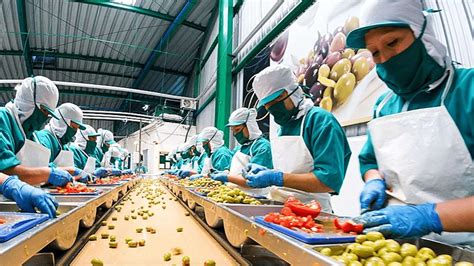 Top Best Food Processing Companies In India In Inventiva