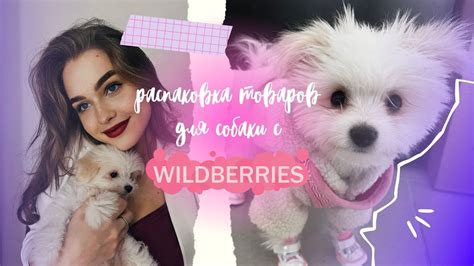 ПОКУПКИ С WILDBERRIES ДЛЯ СОБАКИ - YouTube