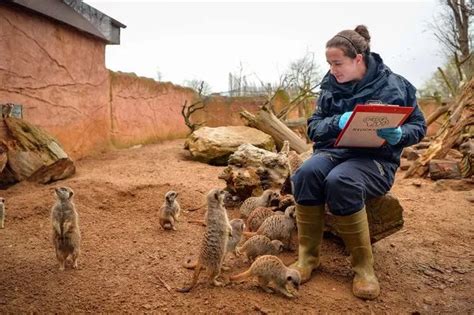 Chester Zoo Keepers Begin Week Long Task Of Counting All Their Animals