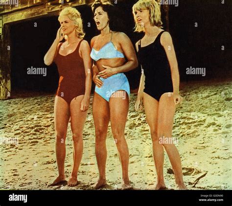 Surf Party, USA 1964, Regie: Maury Dexter, Darsteller: (v. l.) Jackie ...