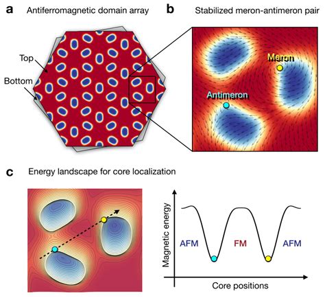 Schematic Illustration Of A Stable Meron Antimeron Pair In A Twisted