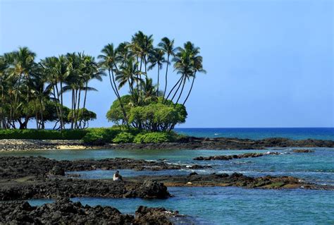 Kohala Coast Living - Big Island of Hawaii - Hawaii Real Estate Market & Trends | Hawaii Life