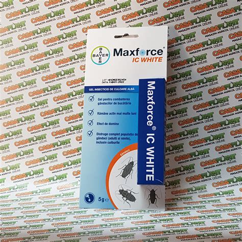 Maxforce Ic Gel G Casaplant