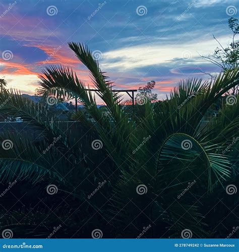 Sunset in Las Vegas, Nevada, USA Stock Photo - Image of travel, horizon ...