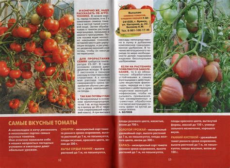 Томат Бычье сердце раннее • Описание, ОТЗЫВЫ, Фото, Семена