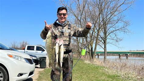 Maumee River Walleye Run 2023 YouTube