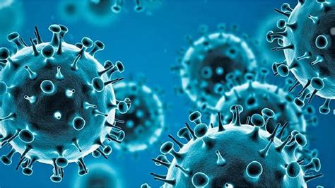 What Is Influenza B The Virus That Killed A Teenager After Returning