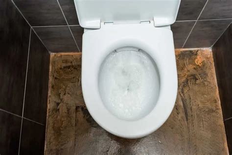 How To Get Rid Of The Toilet Bowl Ring 7 Easy Methods Oh So Spotless