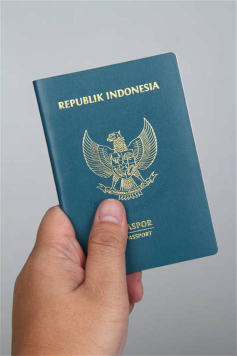 Contoh Gambar Passport Perempuan Srv4 Pddikti Pangkalan Data Pendidikan Tinggi Noah Cudmore