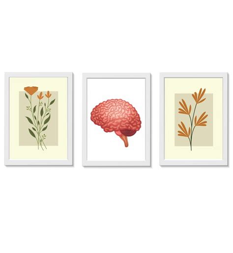 Kit Quadros Decorativos C Rebro E Flores Neurologia Elo