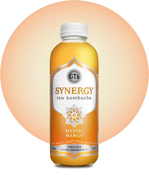 SYNERGY Raw Kombucha | GT's Living Foods