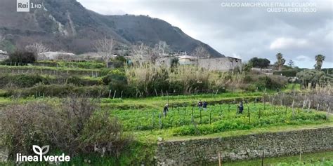 Linea Verde 2023 24 Ischia L Isola Che Incanta 24 03 2024 Video