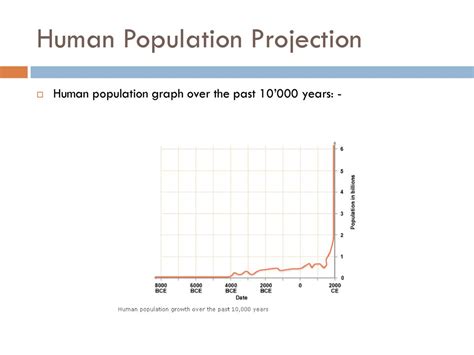 Human Population Noadswood Science Ppt Download