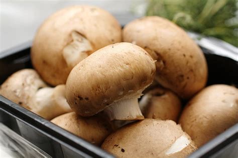 5 Simple Secrets To Unlock The Earthy Flavor Of Home-Cooked Mushrooms