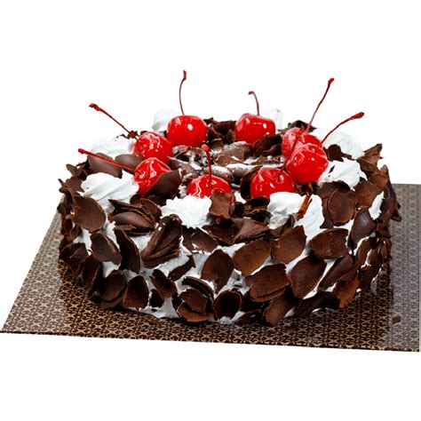 Black Forest Gateaux Shirohana Flowers