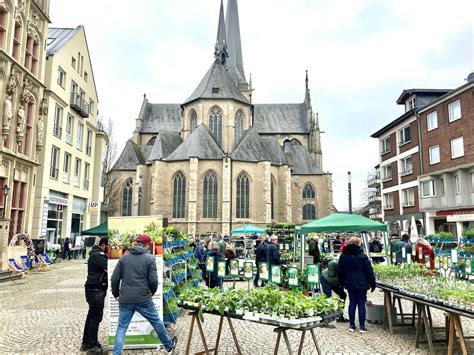 Verkaufsoffener Sonntag Und Fr Hlingsfest In Wesel Locken G Ste