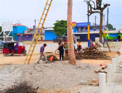 Ornato Jornada De Limpieza Chapeo Podado De Arboles Y Tren De Aseo