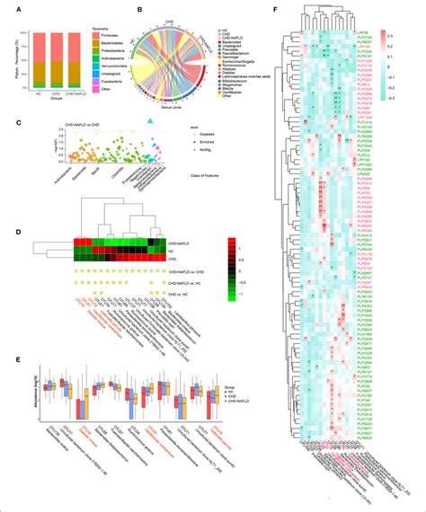 Distinct Gut Microbiome In Different Groups A B Phylum Level And