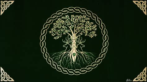 Celtic Tree of Life Wallpapers on WallpaperDog