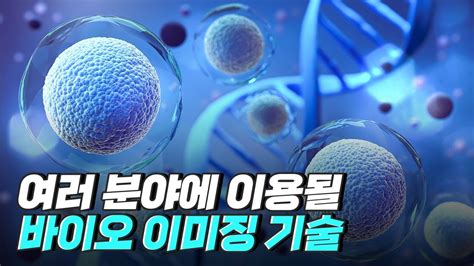 핫클립 여러 분야에 이용될 바이오 이미징 기술 Ytn 사이언스 Youtube